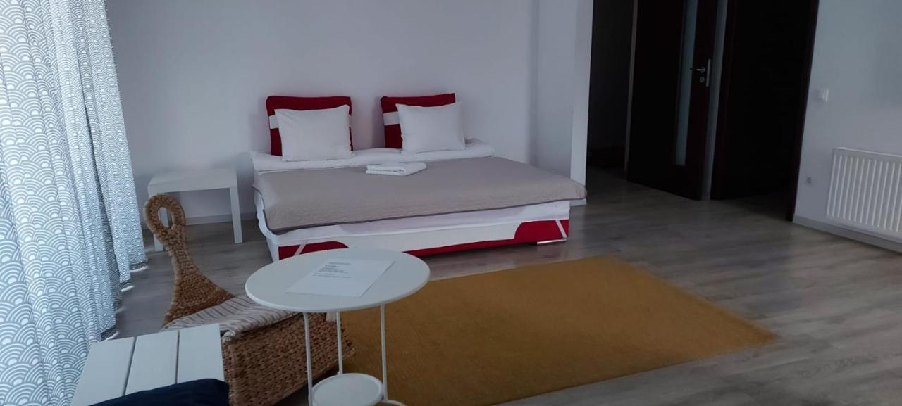 Exquisite Apartament 브라쇼브 외부 사진