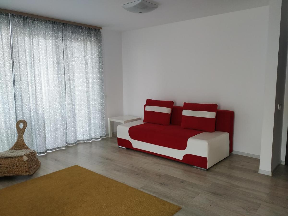 Exquisite Apartament 브라쇼브 외부 사진