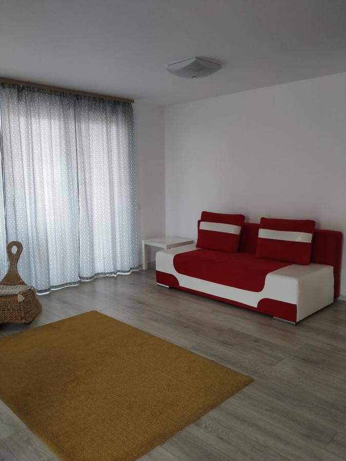 Exquisite Apartament 브라쇼브 외부 사진